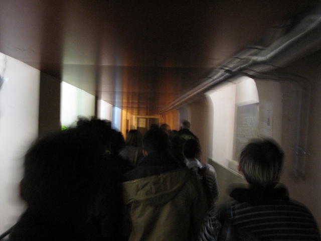 IMG 0306