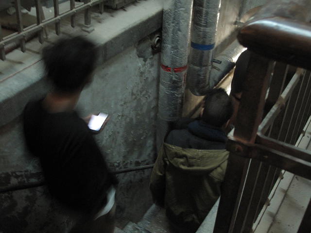 IMG 0308