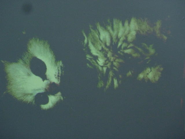 P1070629