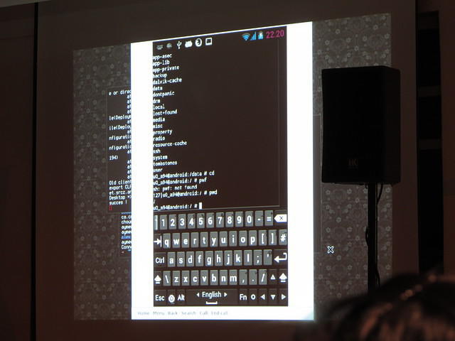 IMG 7788
