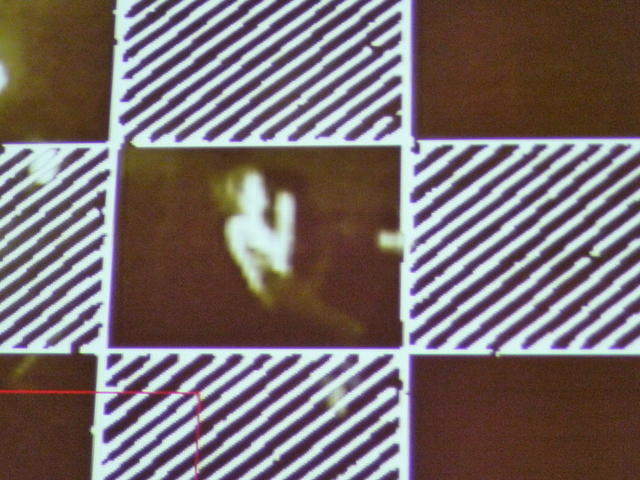 P1000129