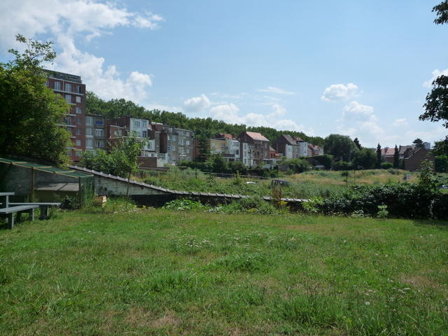 P1010304