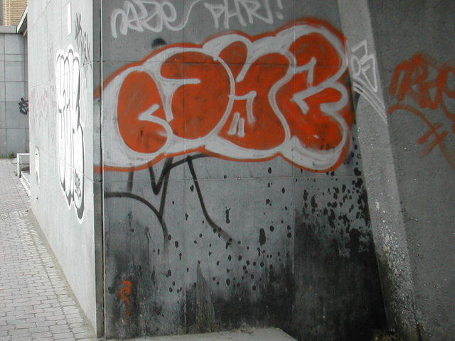 DSCN6408
