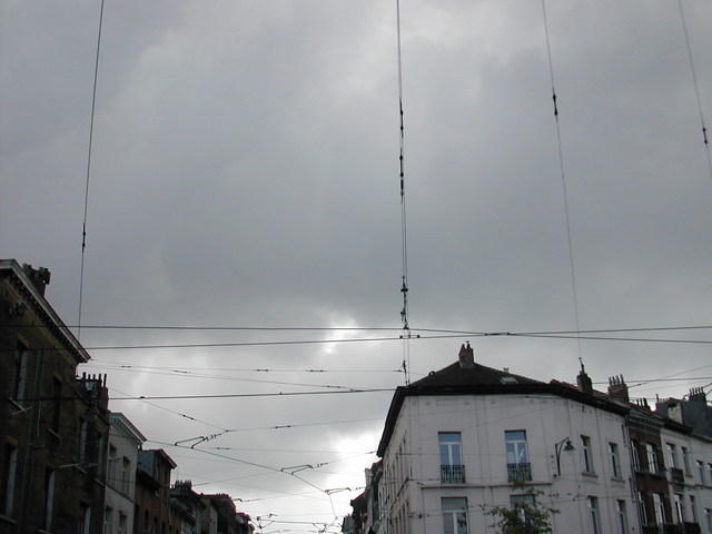 DSCN6422