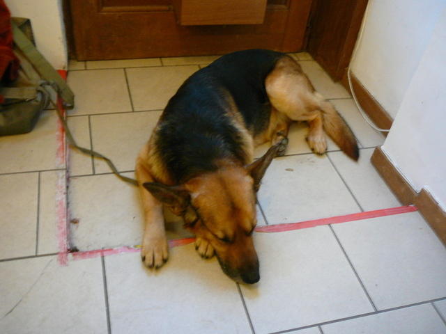 P1050509
