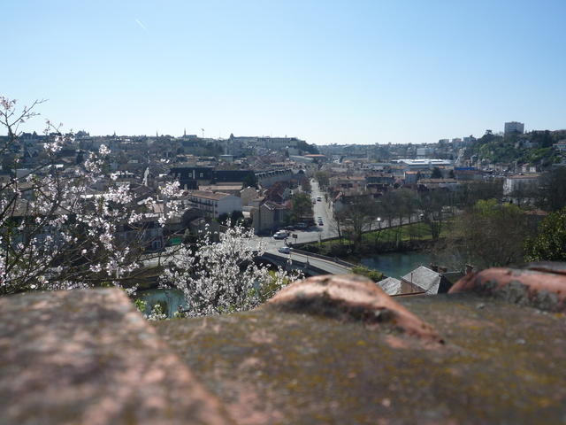 P1020089