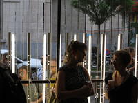 IMG 7982