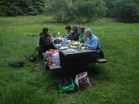 4 picnic