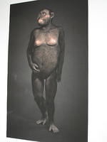 IMG 0212