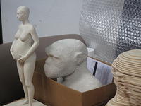 IMG 0262