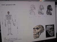 IMG 0300