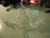 IMG 0781