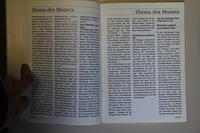 IMG 6333