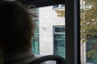 IMG 6355