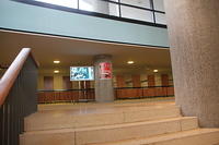 IMG 6370