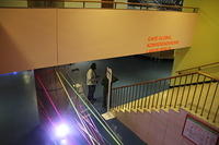 IMG 6374