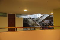 IMG 6376