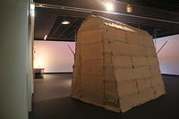IMG 6382