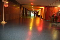 IMG 6385