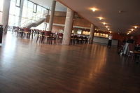IMG 6388