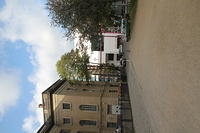 IMG 6466