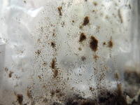 P1010663